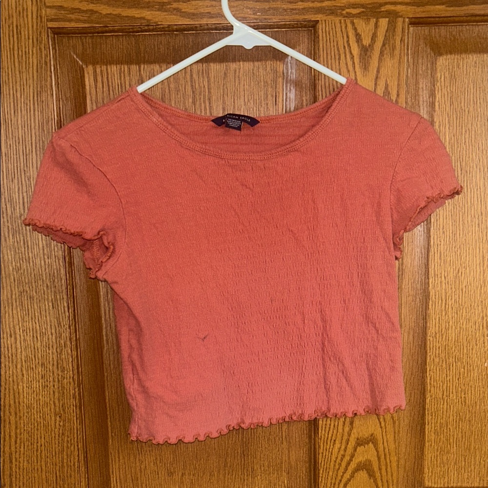 American Eagle Outfitters Terracotta Crop Top